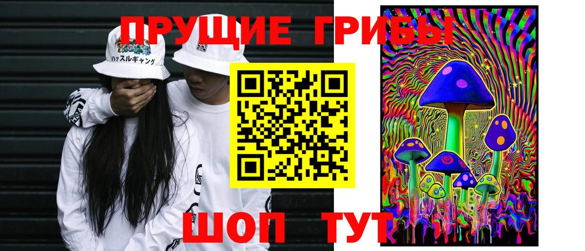 Ишим  Псилоцибиновые грибы Cubensis  Вход с VPN  Псилоцибиновые грибы MAGIC MUSHROOMS 