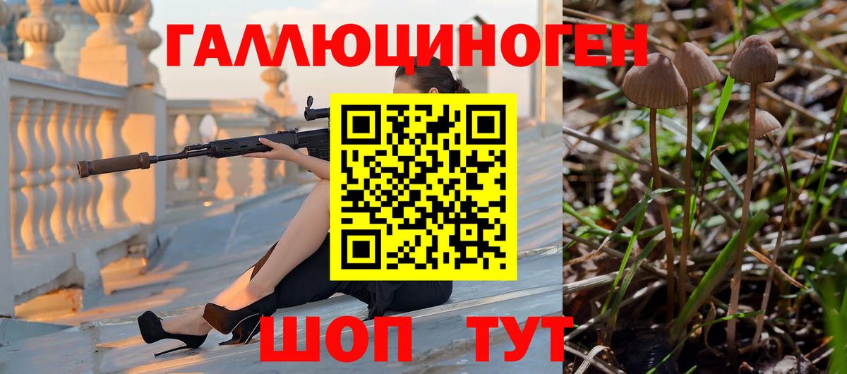 Галлюциногенные грибы Magic Shrooms Ишим